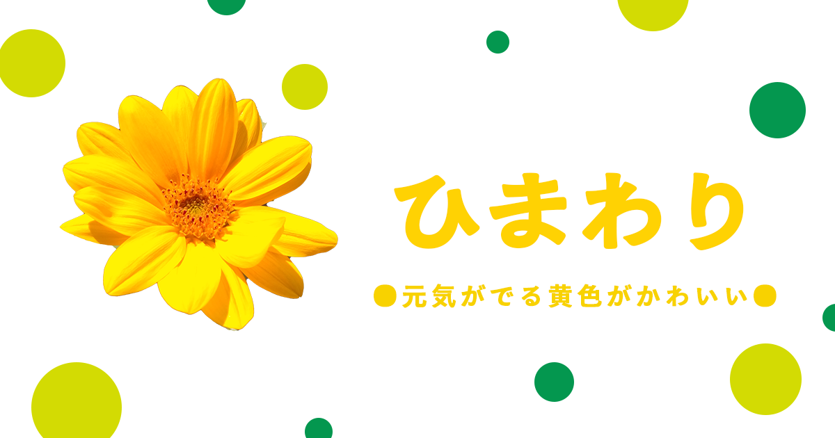 ひまわり